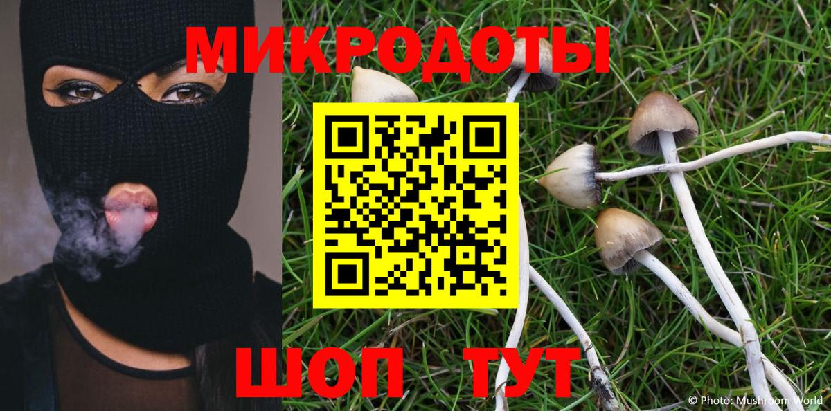 Осинники  Псилоцибиновые грибы MAGIC MUSHROOMS  Вход с VPN  Псилоцибиновые грибы Cubensis 